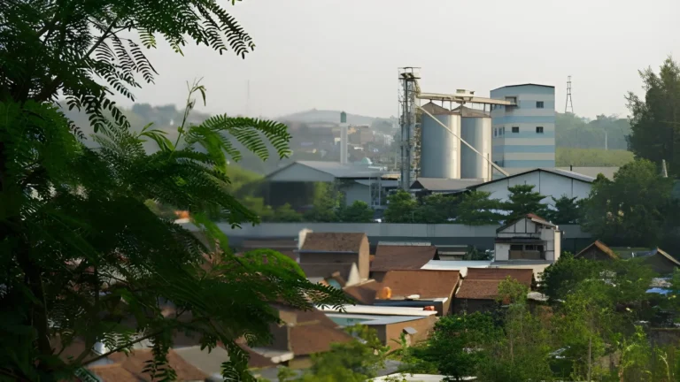 Pentingnya Transparansi Lingkungan di DLHSemarang.id