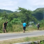 Peran Phrimaluku.org dalam Mendorong Pembangunan Berkelanjutan