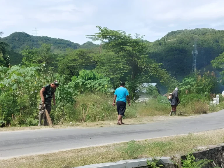 Peran Phrimaluku.org dalam Mendorong Pembangunan Berkelanjutan
